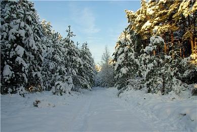 新作格斗游戏《饿狼传说：群狼之城》第二次β版公开测试！